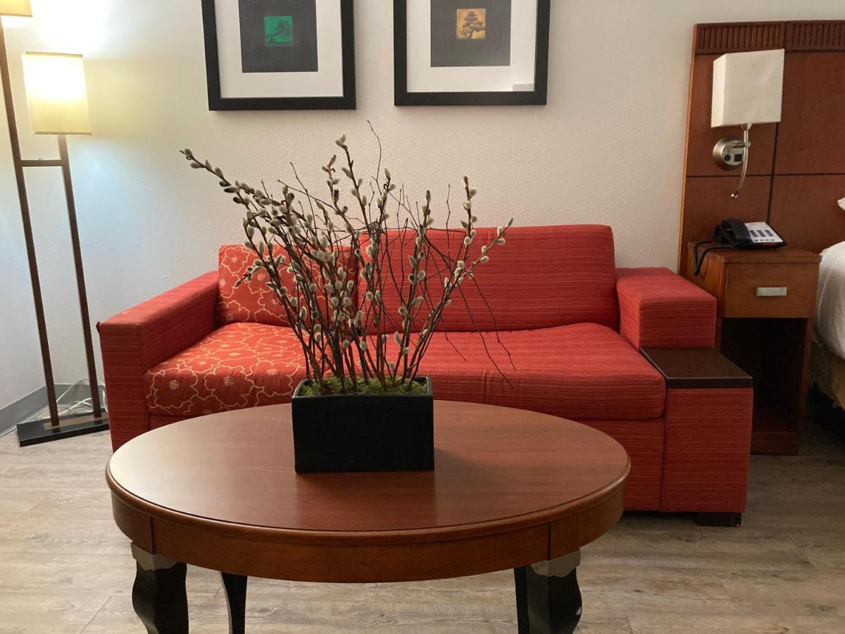 The Hotel Orange Ngoại thất bức ảnh